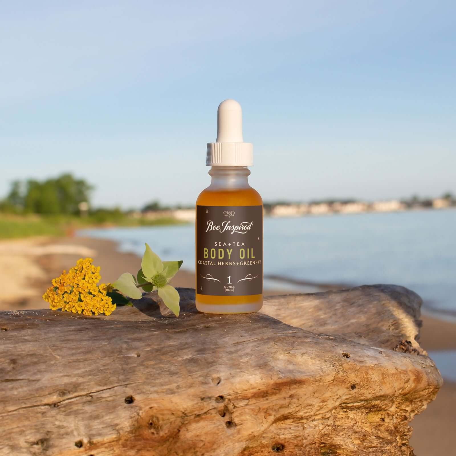 Sea+Tea Body Oil - Image 10