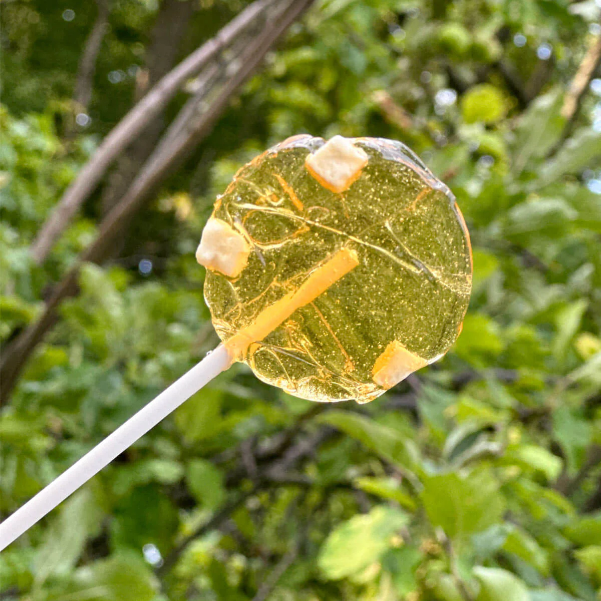 Apples and Honey Kosher Lollipops Box of 50 - Image 3