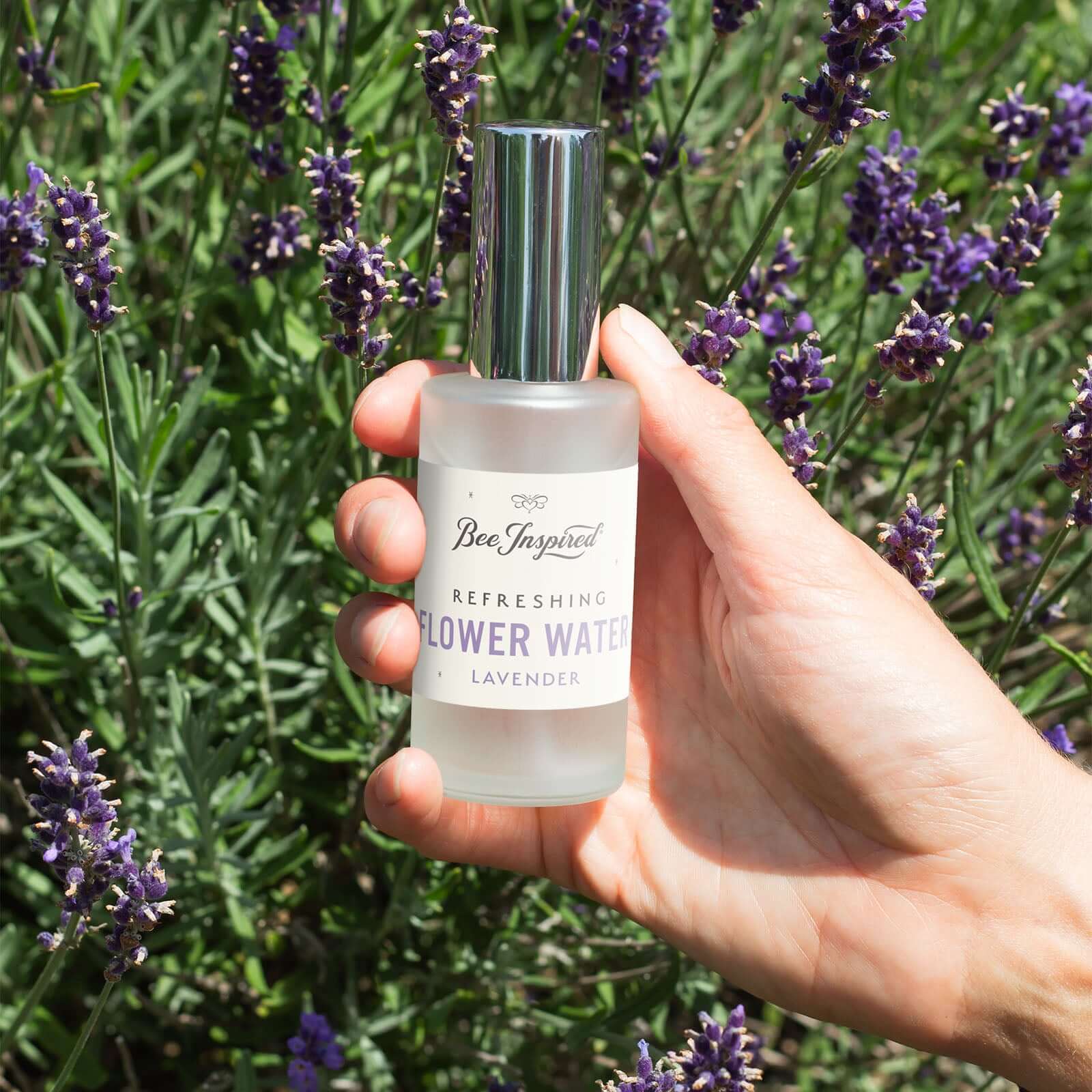 Lavender Flower Water - Image 11