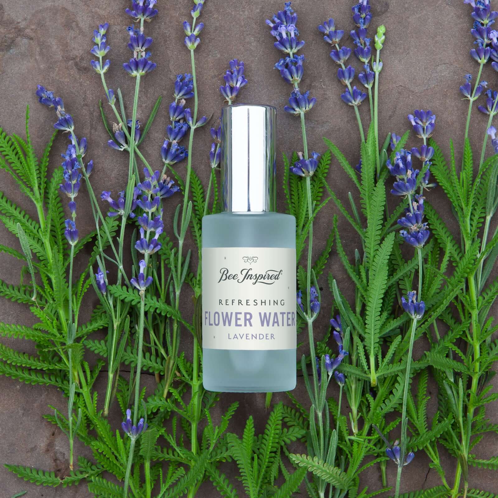 Lavender Flower Water - Image 7