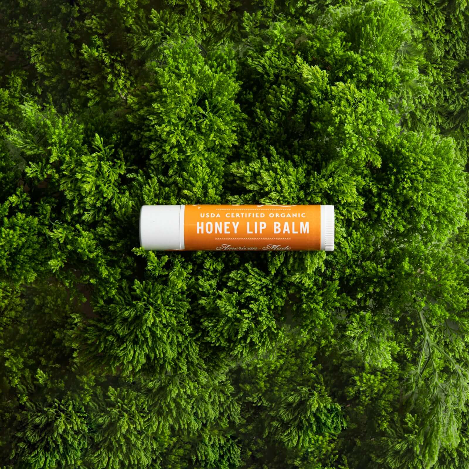 Honey Lip Balm - Plastic-Free - Image 3