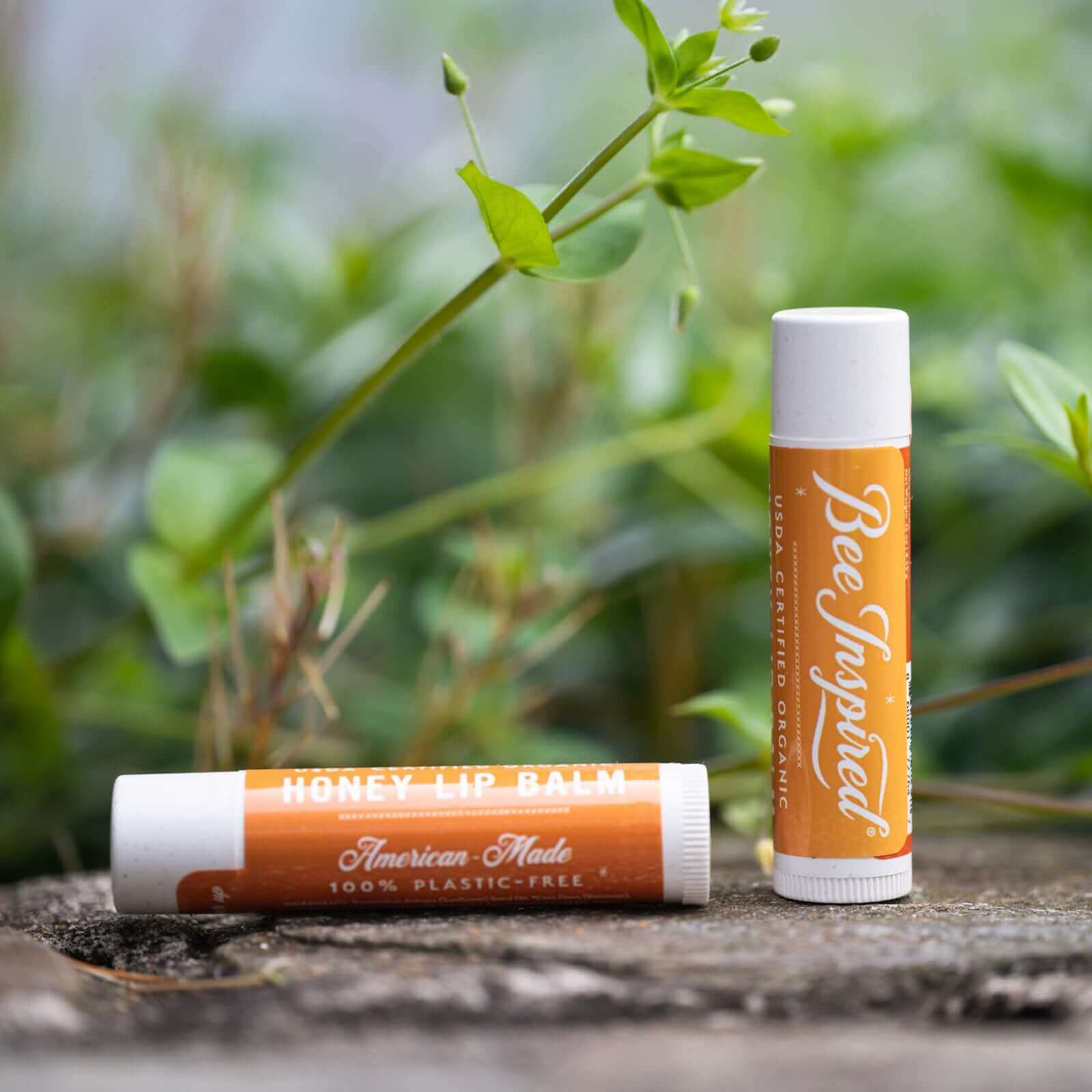 Honey Lip Balm - Plastic-Free - Image 5
