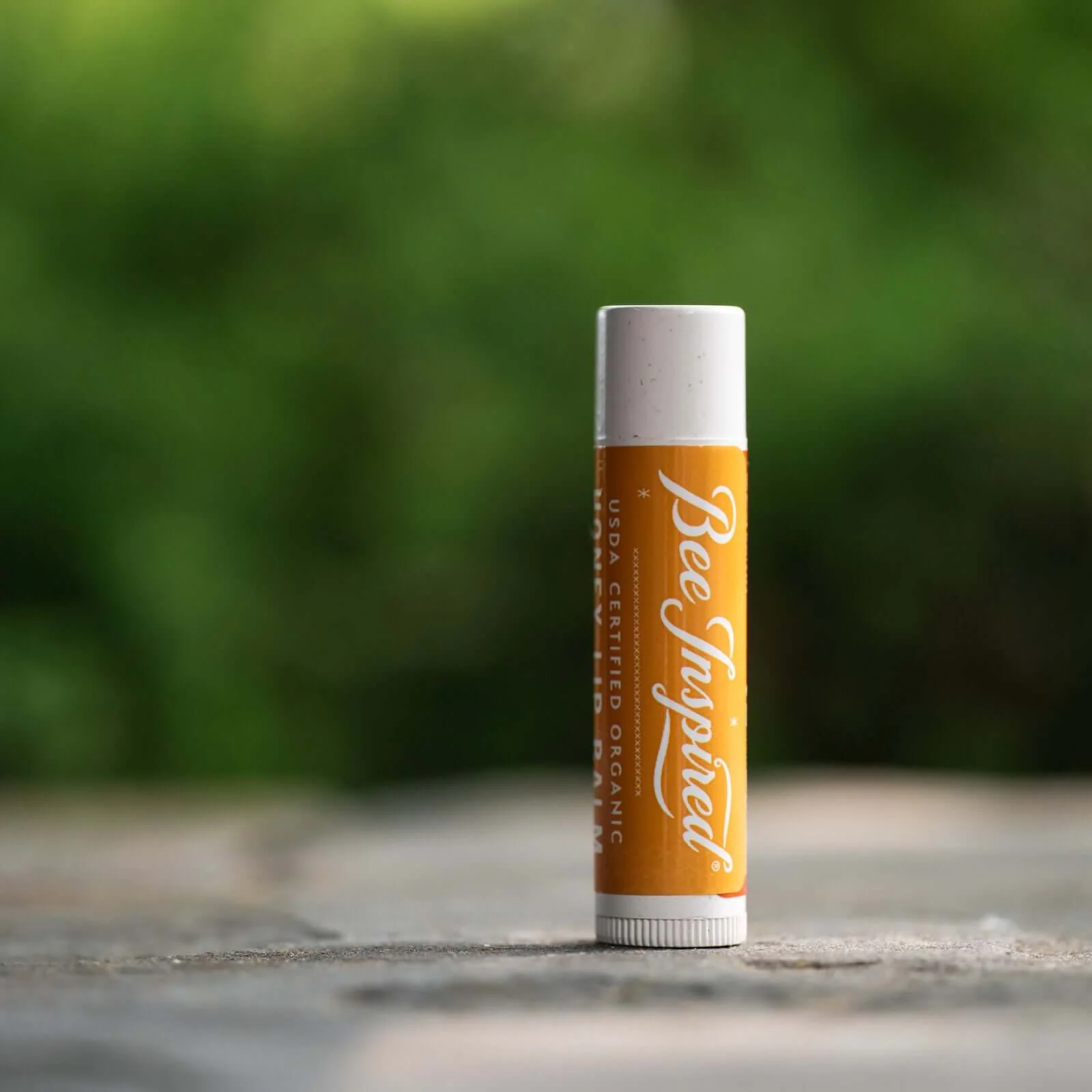 Honey Lip Balm - Plastic-Free - Image 6