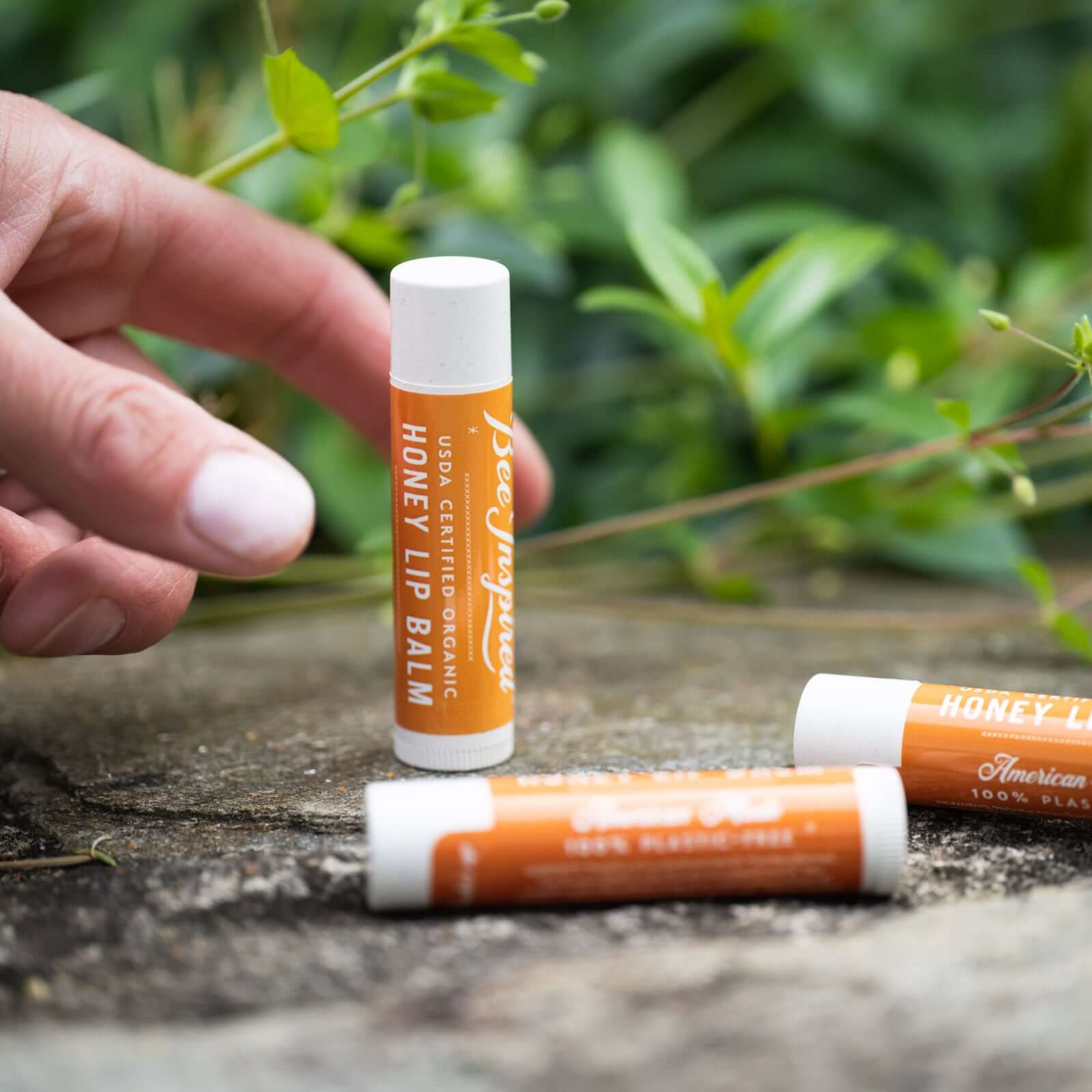 Honey Lip Balm - Plastic-Free - Image 8