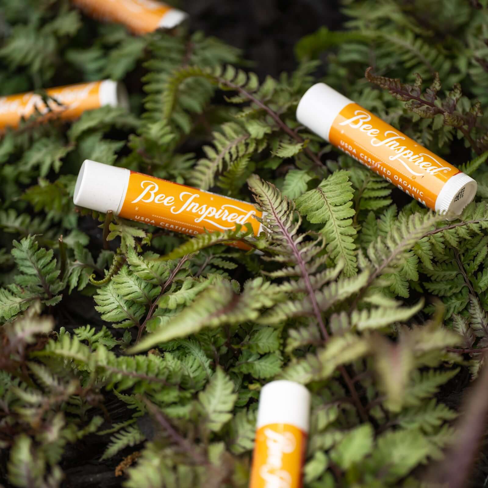 Honey Lip Balm - Plastic-Free - Image 9